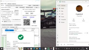 Fake BTC Sender Software